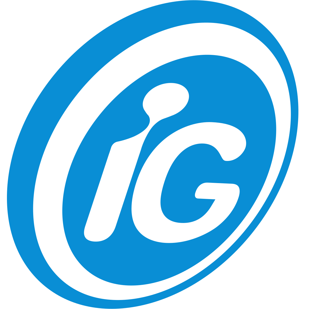 Portal IG